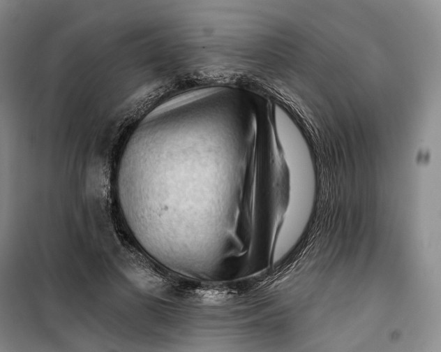 X0000099450693200805301513