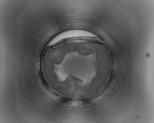 X0000099450696200805301513