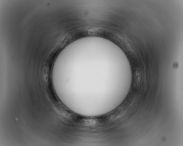 X0000099450698200805301513