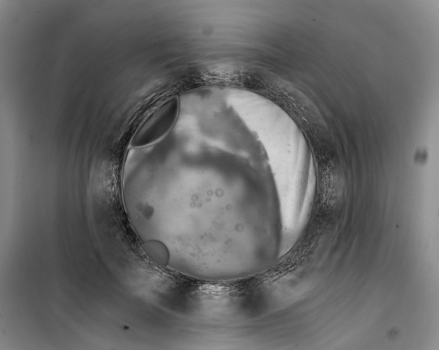 X0000099450699200805301513