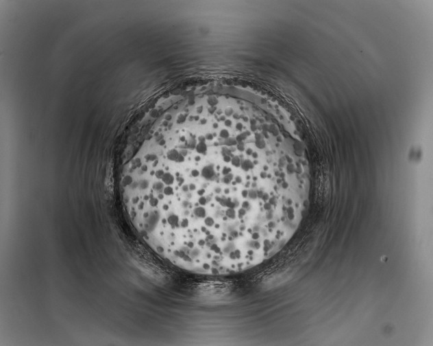 X0000099450700200805301513