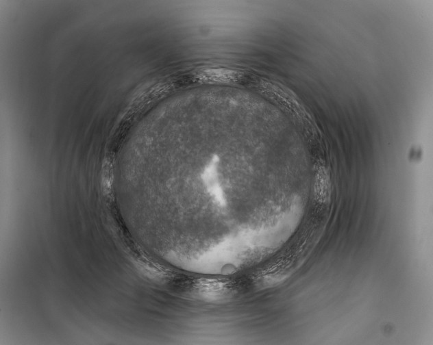 X0000099450701200805301513