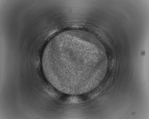 X0000099450704200805301513