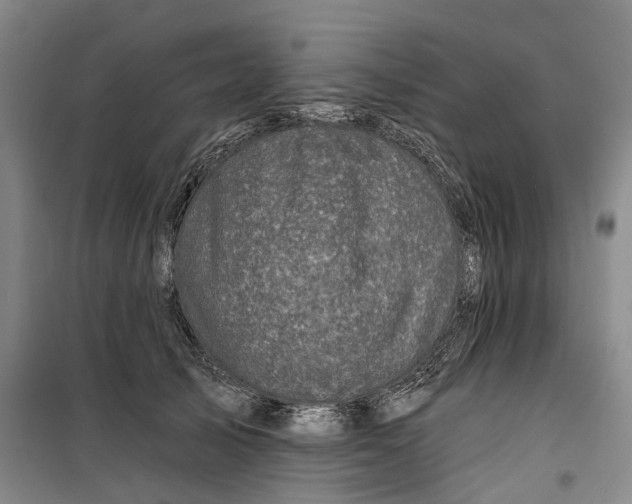 X0000099450705200805301513