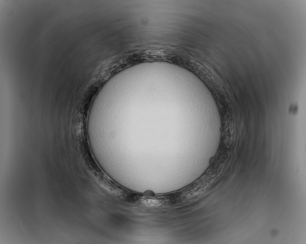 X0000099450706200805301513