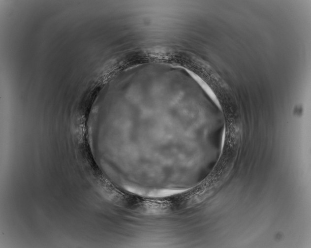 X0000099450707200805301513