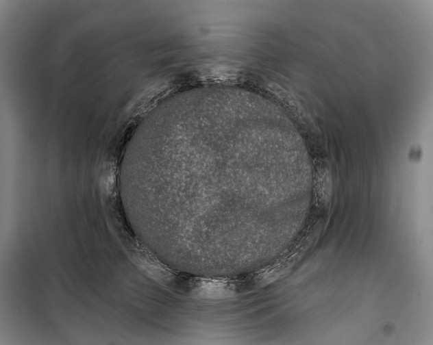 X0000099450709200805301513