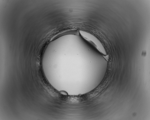 X0000099450710200805301513