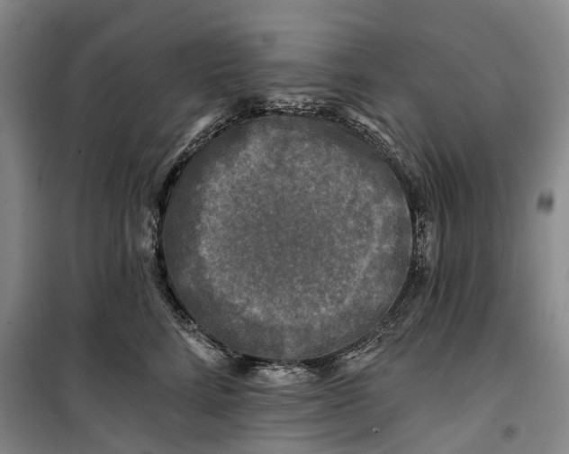 X0000099450712200805301512