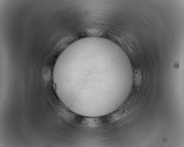 X0000099450713200805301512