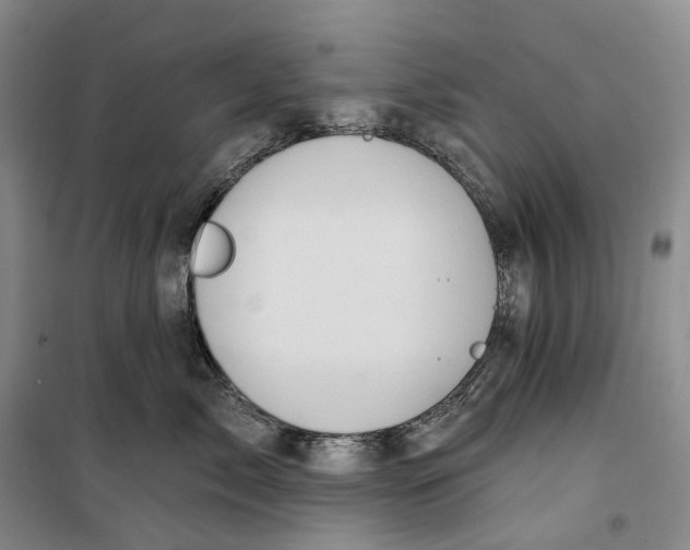 X0000099450717200805301512