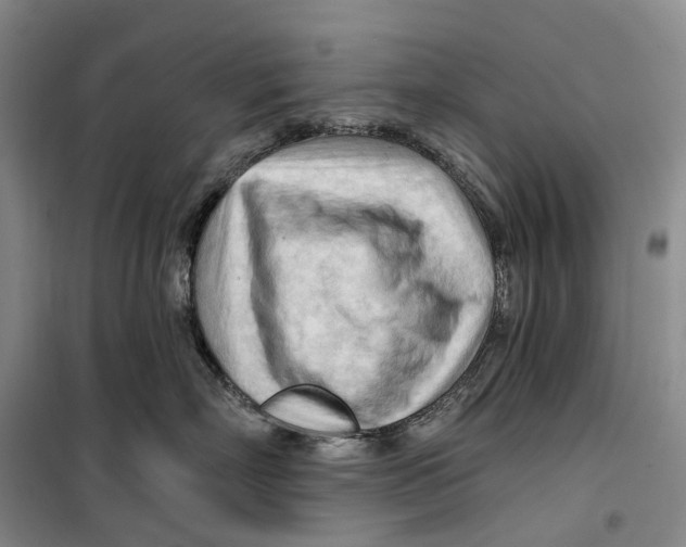 X0000099450718200805301512