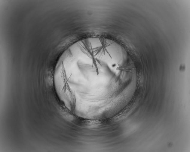 X0000099450719200805301512