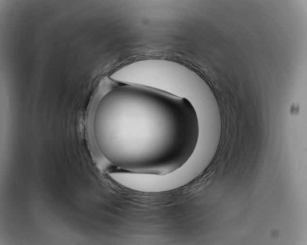 X0000099450720200805301512