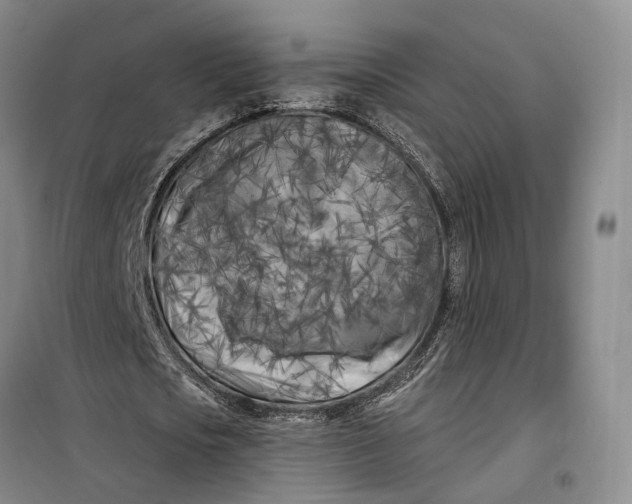 X0000099450721200805301512