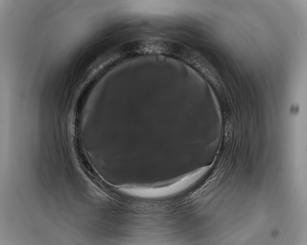 X0000099450722200805301512