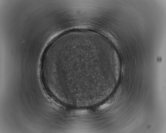 X0000099450724200805301512