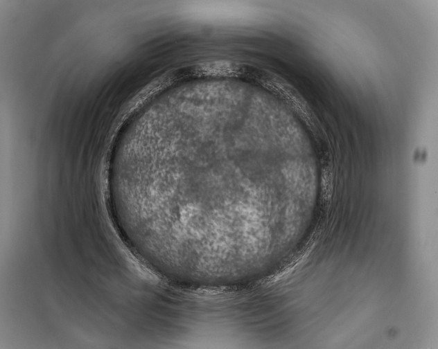 X0000099450725200805301512