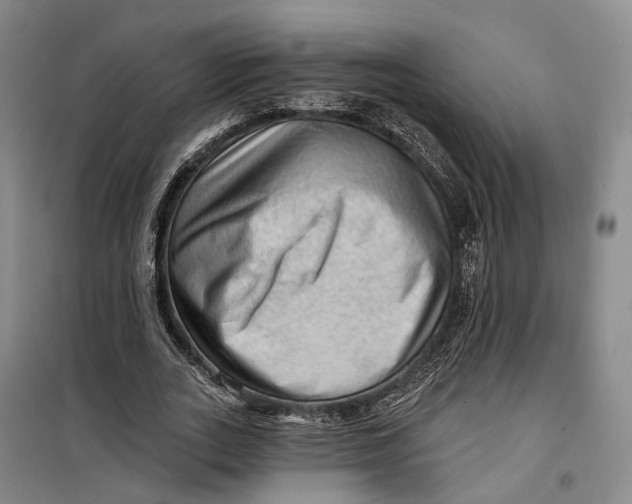 X0000099450727200805301512