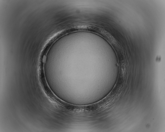 X0000099450728200805301512