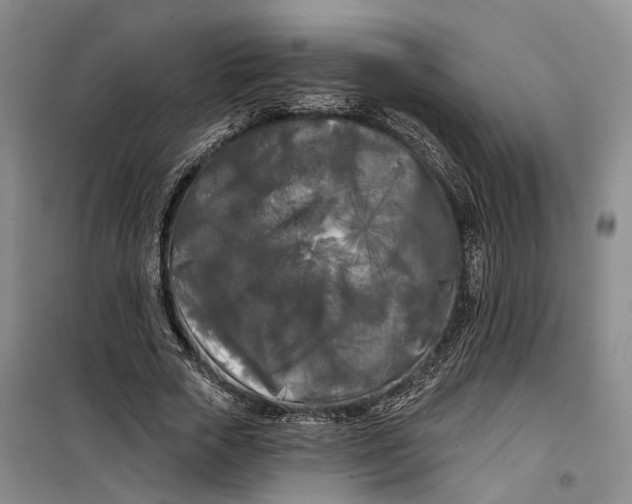 X0000099450729200805301512