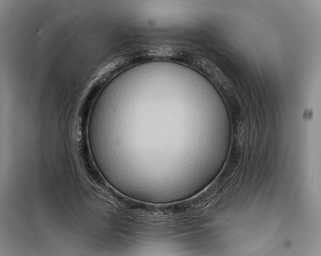 X0000099450731200805301512