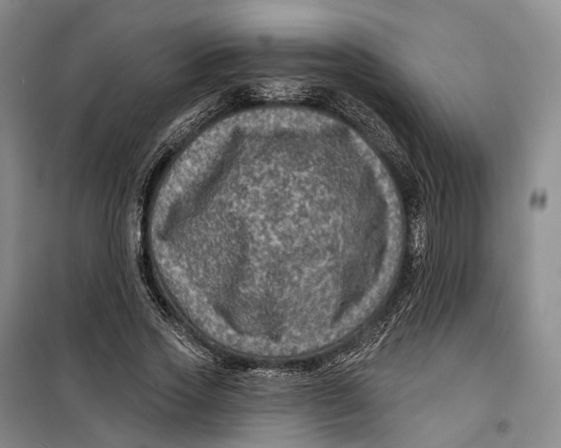 X0000099450733200805301512