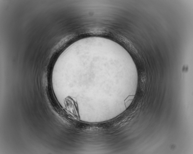 X0000099450734200805301512