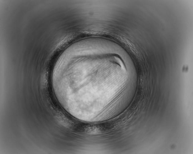 X0000099450735200805301512