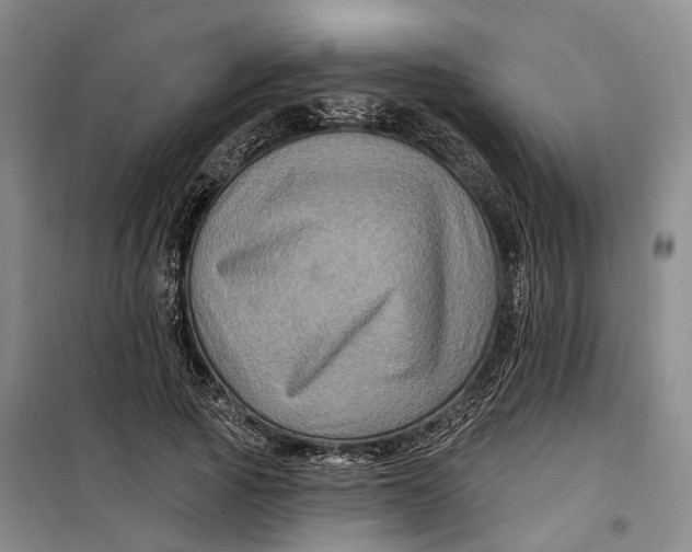 X0000099450737200805301512