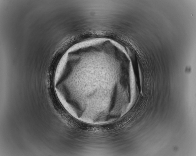 X0000099450738200805301512