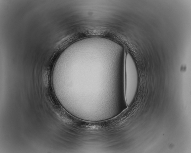 X0000099450741200805301512