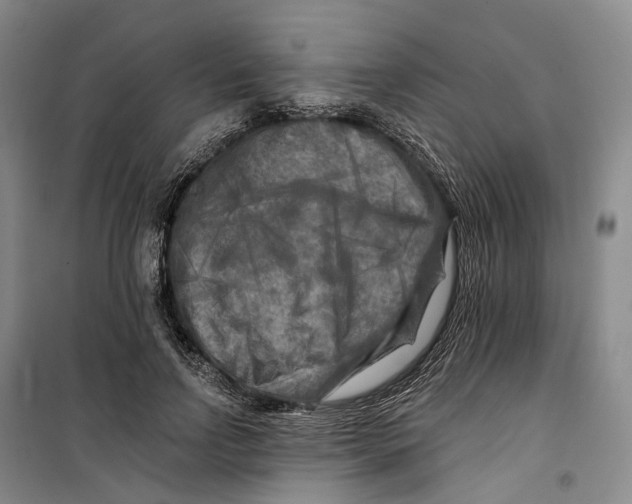 X0000099450742200805301512