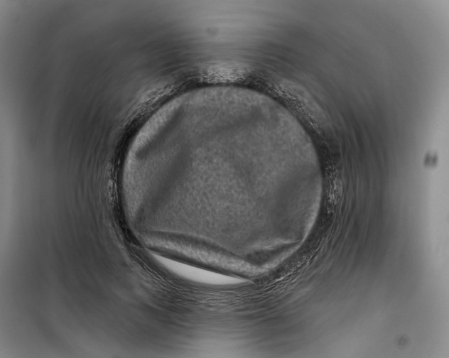 X0000099450743200805301512