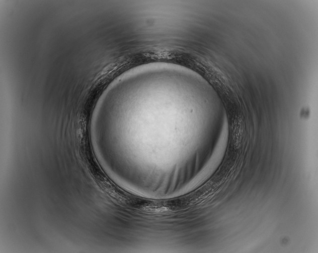 X0000099450747200805301512