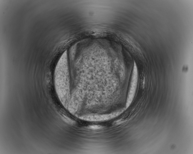 X0000099450748200805301512