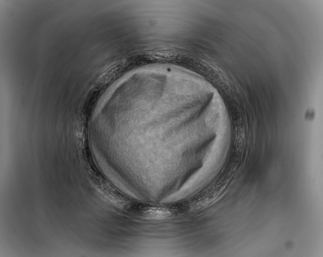 X0000099450749200805301512