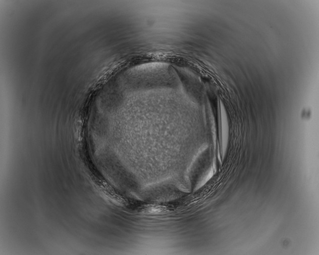 X0000099450750200805301512