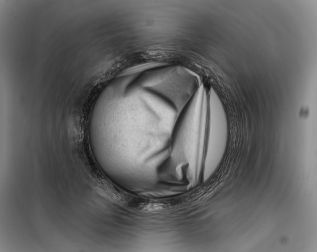 X0000099450751200805301512