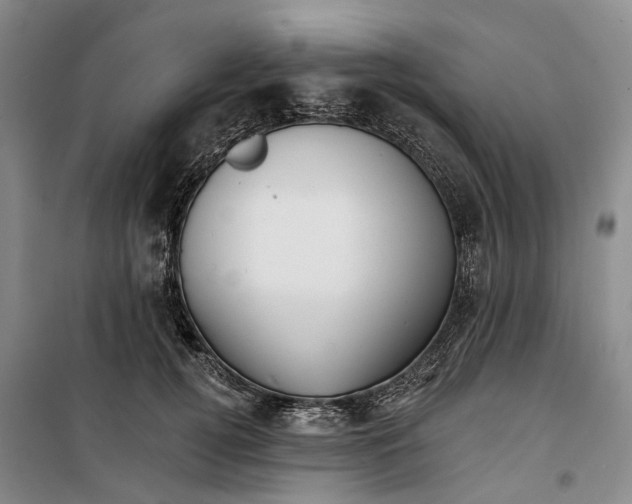 X0000099450752200805301512