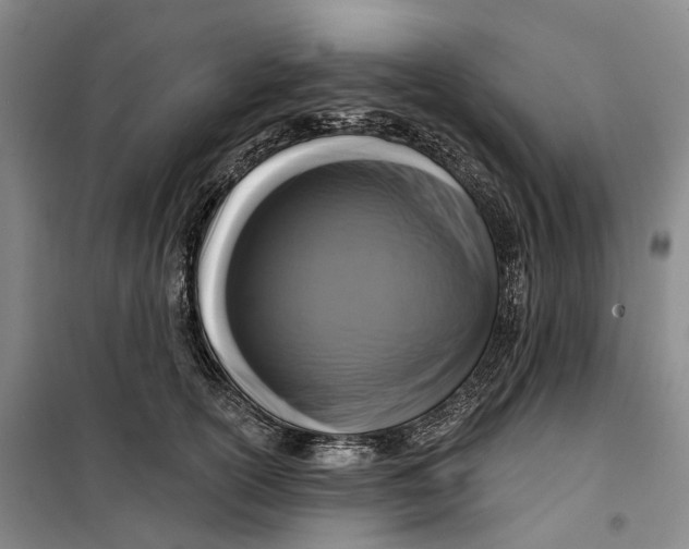 X0000099450754200805301512