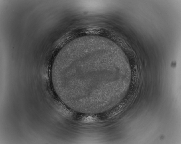 X0000099450755200805301512