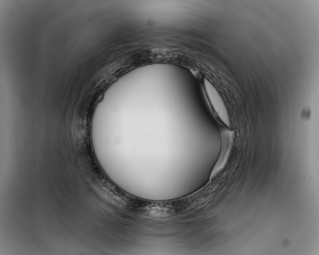 X0000099450756200805301512