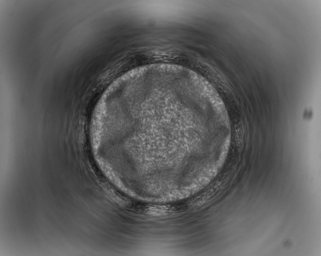 X0000099450757200805301512