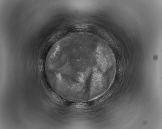 X0000099450758200805301512