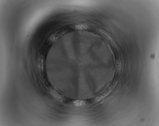 X0000099450762200805301512