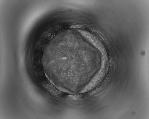 X0000099450763200805301512