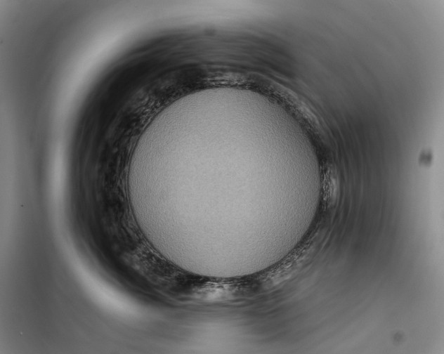 X0000099450764200805301512