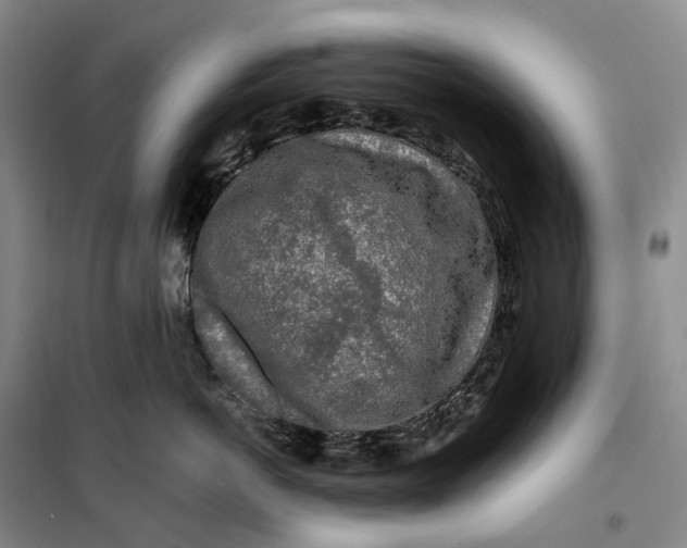 X0000099450766200805301512