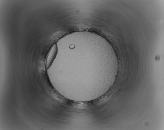 X0000099450768200805301512